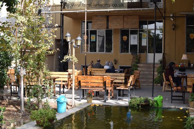 Students studying outdoors in Shiraz